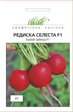 Насіння редис Селеста