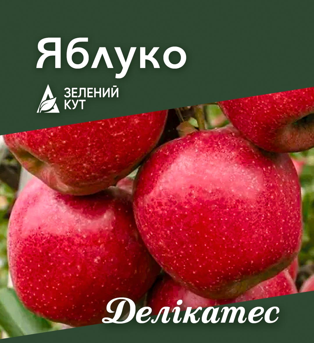 apple_delikates