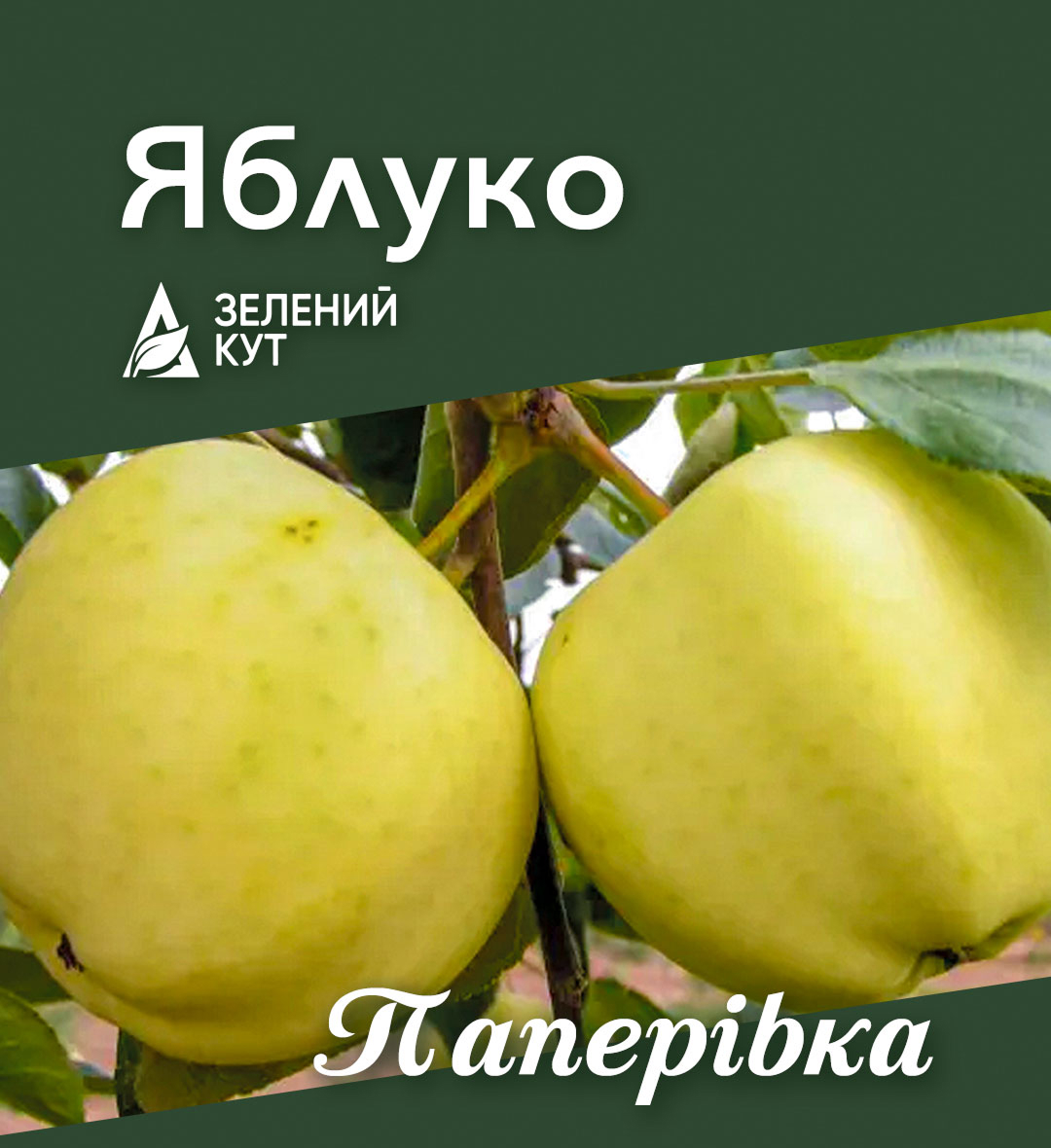 apple_paperivka
