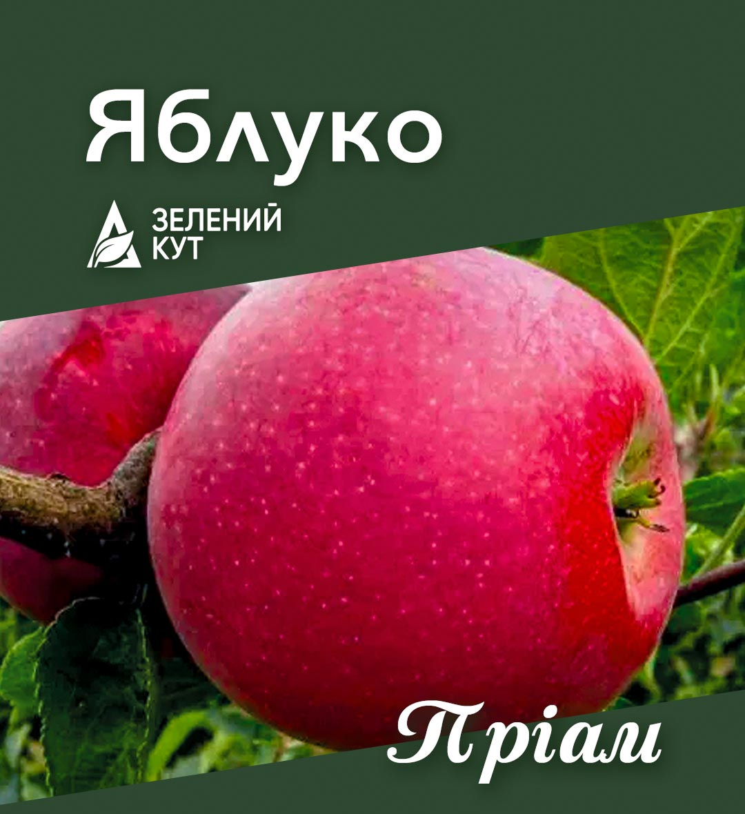 apple_priam